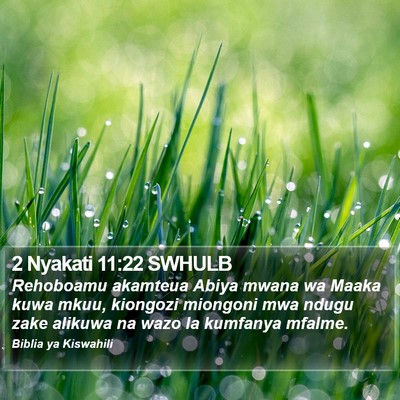 2 Nyakati 11:22 SWHULB Bible Verse Image