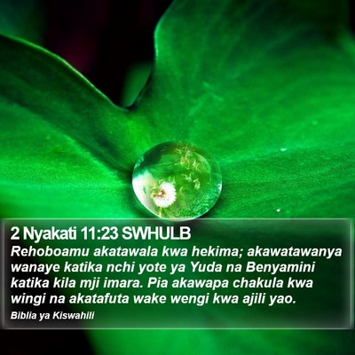 2 Nyakati 11:23 SWHULB Bible Verse Image