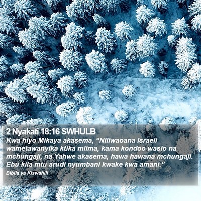2 Nyakati 18:16 SWHULB Bible Verse Image