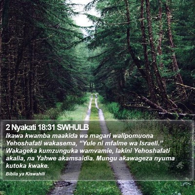 2 Nyakati 18:31 SWHULB Bible Verse Image