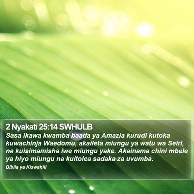 2 Nyakati 25:14 SWHULB Bible Verse Image