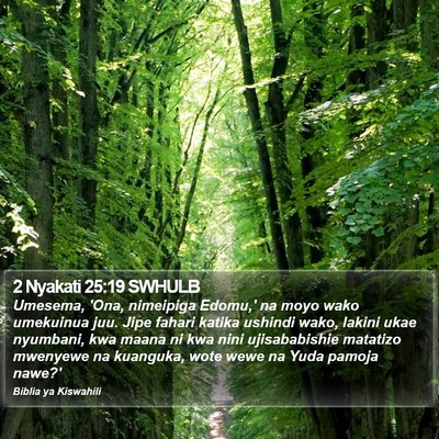 2 Nyakati 25:19 SWHULB Bible Verse Image