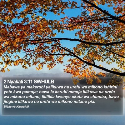 2 Nyakati 3:11 SWHULB Bible Verse Image