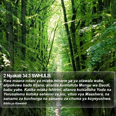 2 Nyakati 34:3 SWHULB Bible Verse Image