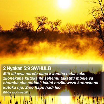 2 Nyakati 5:9 SWHULB Bible Verse Image