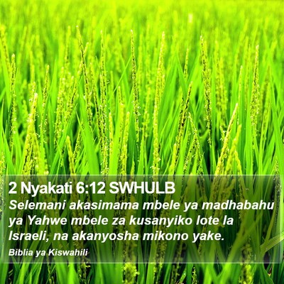 2 Nyakati 6:12 SWHULB Bible Verse Image