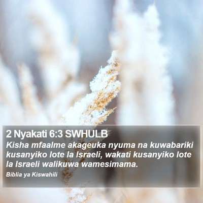 2 Nyakati 6:3 SWHULB Bible Verse Image