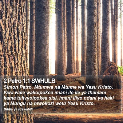 2 Petro 1:1 SWHULB Bible Verse Image