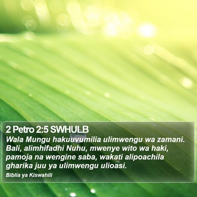 2 Petro 2:5 SWHULB Bible Verse Image