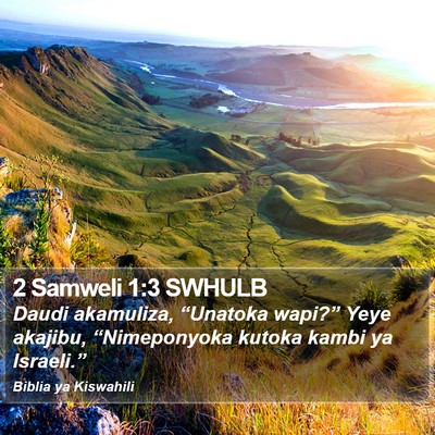 2 Samweli 1:3 SWHULB Bible Verse Image