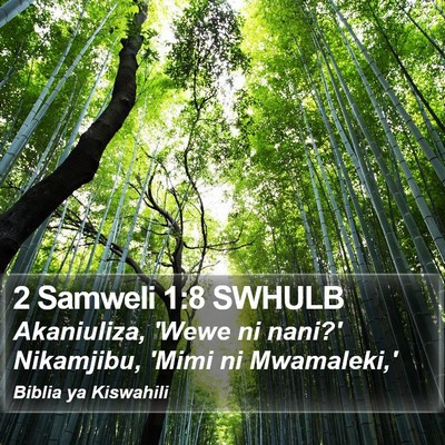 2 Samweli 1:8 SWHULB Bible Verse Image
