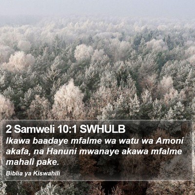 2 Samweli 10:1 SWHULB Bible Verse Image