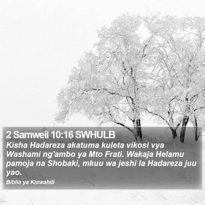 2 Samweli 10:16 SWHULB Bible Verse Image