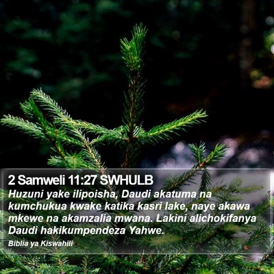 2 Samweli 11:27 SWHULB Bible Verse Image