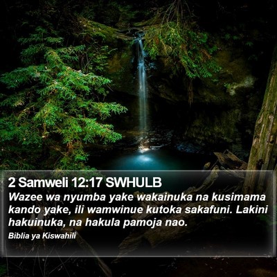 2 Samweli 12:17 SWHULB Bible Verse Image