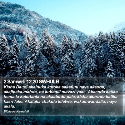 2 Samweli 12:20 SWHULB Bible Verse Image