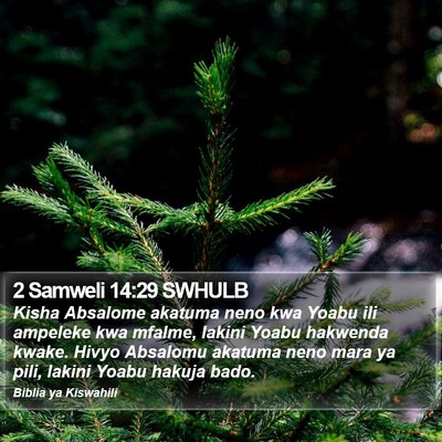 2 Samweli 14:29 SWHULB Bible Verse Image