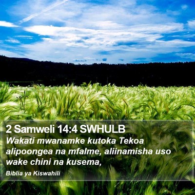 2 Samweli 14:4 SWHULB Bible Verse Image