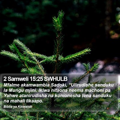 2 Samweli 15:25 SWHULB Bible Verse Image