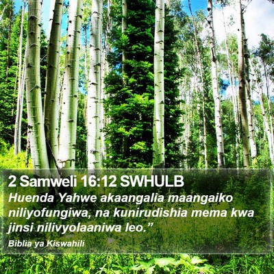 2 Samweli 16:12 SWHULB Bible Verse Image