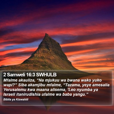 2 Samweli 16:3 SWHULB Bible Verse Image