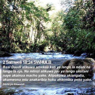 2 Samweli 18:24 SWHULB Bible Verse Image