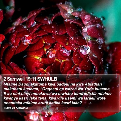 2 Samweli 19:11 SWHULB Bible Verse Image