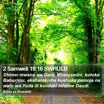 2 Samweli 19:16 SWHULB Bible Verse Image