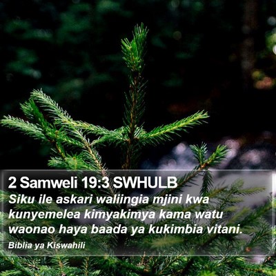 2 Samweli 19:3 SWHULB Bible Verse Image