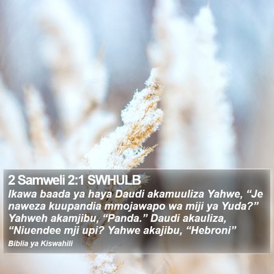 2 Samweli 2:1 SWHULB Bible Verse Image