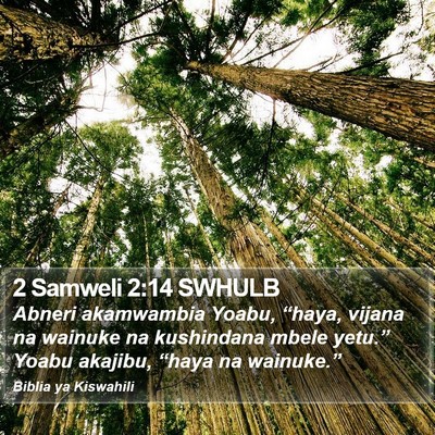 2 Samweli 2:14 SWHULB Bible Verse Image