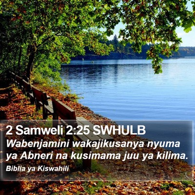 2 Samweli 2:25 SWHULB Bible Verse Image