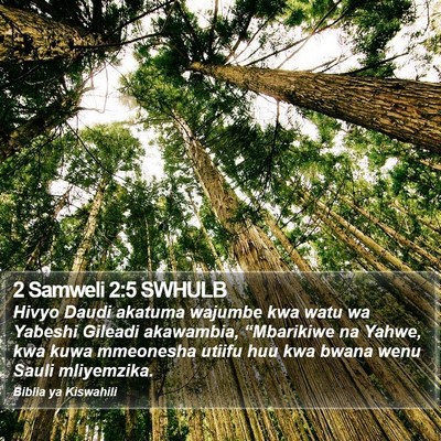 2 Samweli 2:5 SWHULB Bible Verse Image