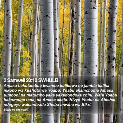 2 Samweli 20:10 SWHULB Bible Verse Image