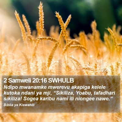 2 Samweli 20:16 SWHULB Bible Verse Image