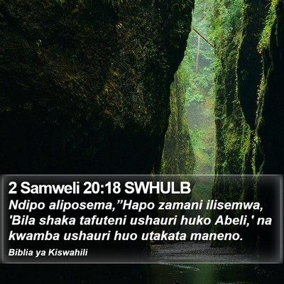 2 Samweli 20:18 SWHULB Bible Verse Image