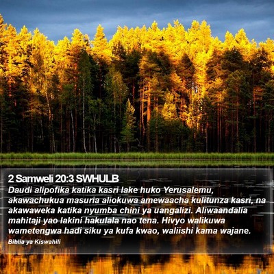 2 Samweli 20:3 SWHULB Bible Verse Image