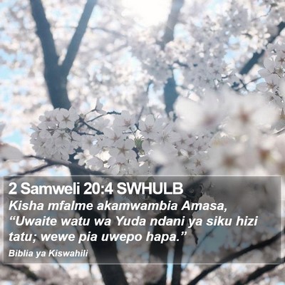 2 Samweli 20:4 SWHULB Bible Verse Image