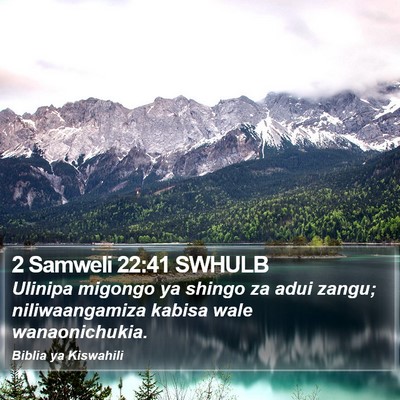 2 Samweli 22:41 SWHULB Bible Verse Image