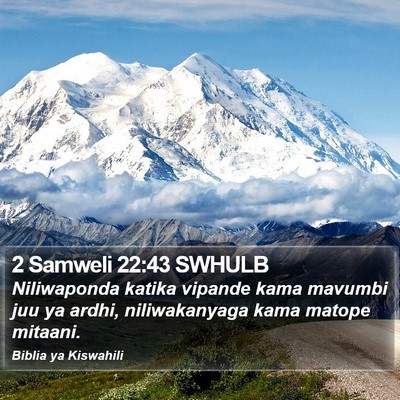 2 Samweli 22:43 SWHULB Bible Verse Image