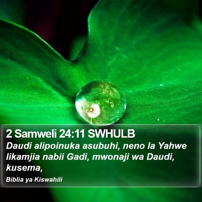 2 Samweli 24:11 SWHULB Bible Verse Image