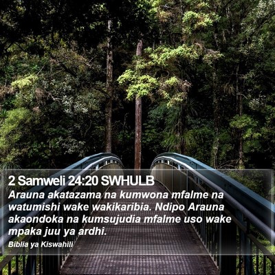 2 Samweli 24:20 SWHULB Bible Verse Image