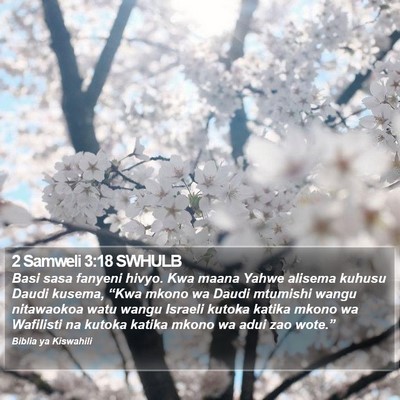 2 Samweli 3:18 SWHULB Bible Verse Image