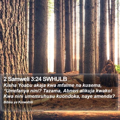 2 Samweli 3:24 SWHULB Bible Verse Image