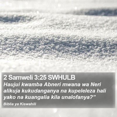 2 Samweli 3:25 SWHULB Bible Verse Image
