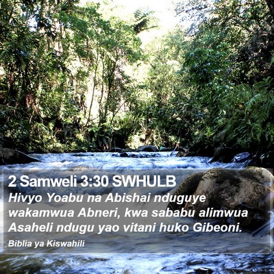 2 Samweli 3:30 SWHULB Bible Verse Image