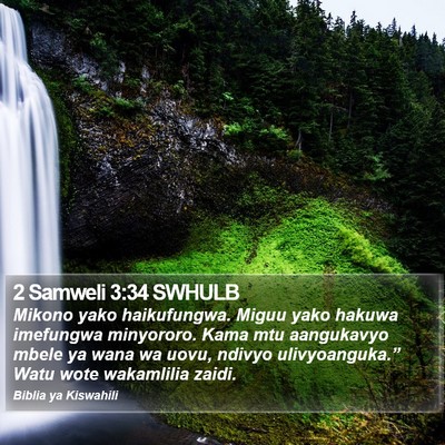 2 Samweli 3:34 SWHULB Bible Verse Image