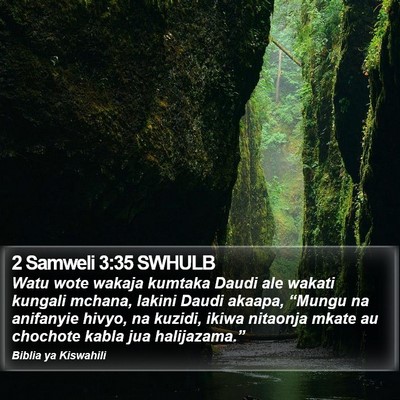 2 Samweli 3:35 SWHULB Bible Verse Image