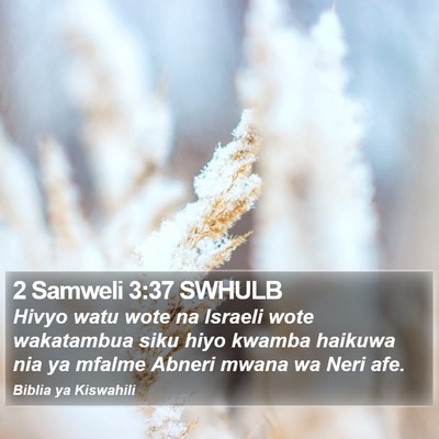 2 Samweli 3:37 SWHULB Bible Verse Image