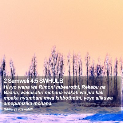 2 Samweli 4:5 SWHULB Bible Verse Image